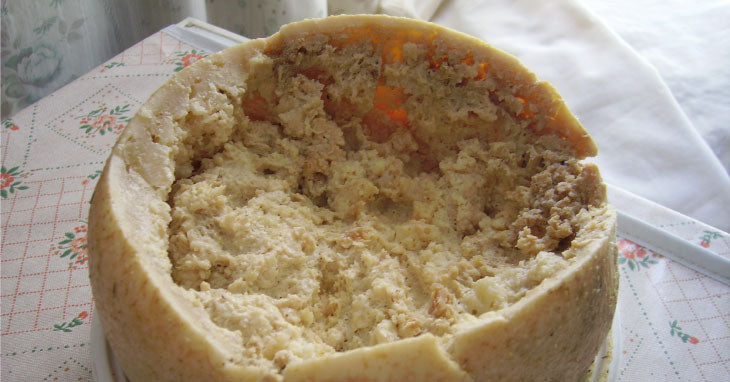 Casu Marzu illegale? Tutto ciò che devi sapere sul formaggio coi vermi